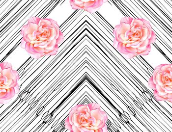 666585-201607016条纹花卉