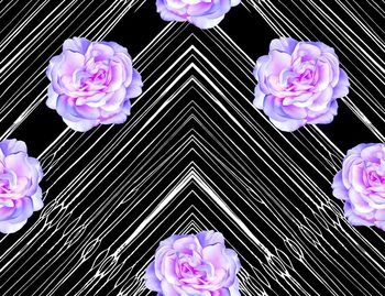 666586-201607016条纹花卉-2