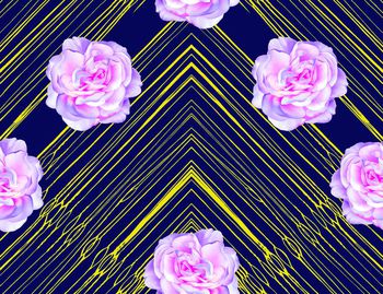 666587-201607016条纹花卉-3