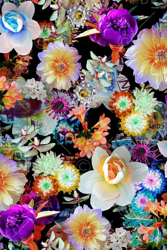 女装印花华亿平台图片