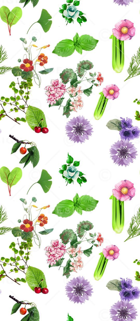 莫妮卡-女装华亿平台印花华亿平台图片