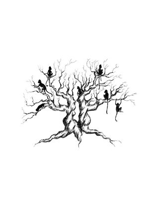 鸟印花华亿平台图片