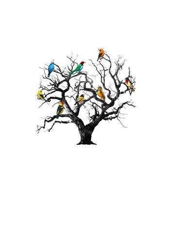 666644-fei-345345tif