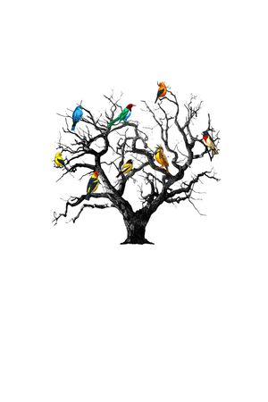 鸟印花华亿平台图片