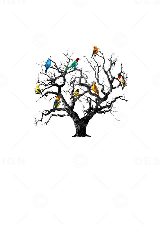 鸟印花华亿平台图片