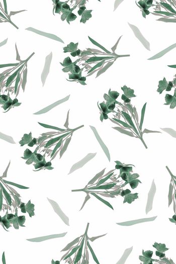 666704-时尚黑白百合花卉 白底