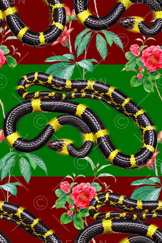 时尚手绘水彩画花卉女装裙子动物蛇印花印花华亿平台图片