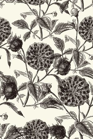 铅笔印花华亿平台图片