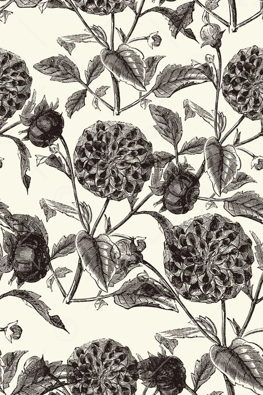 铅笔印花华亿平台图片