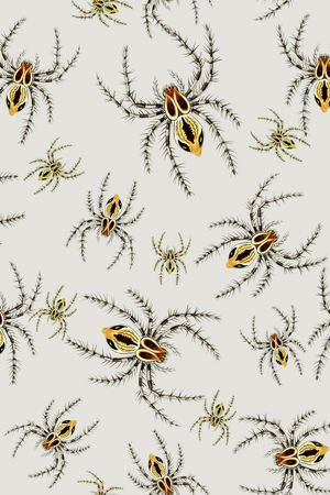 昆虫印花华亿平台图片