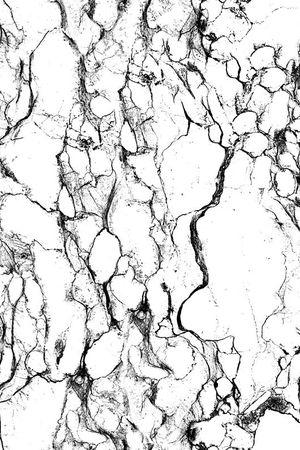 Fei-抽象派印花华亿平台图片