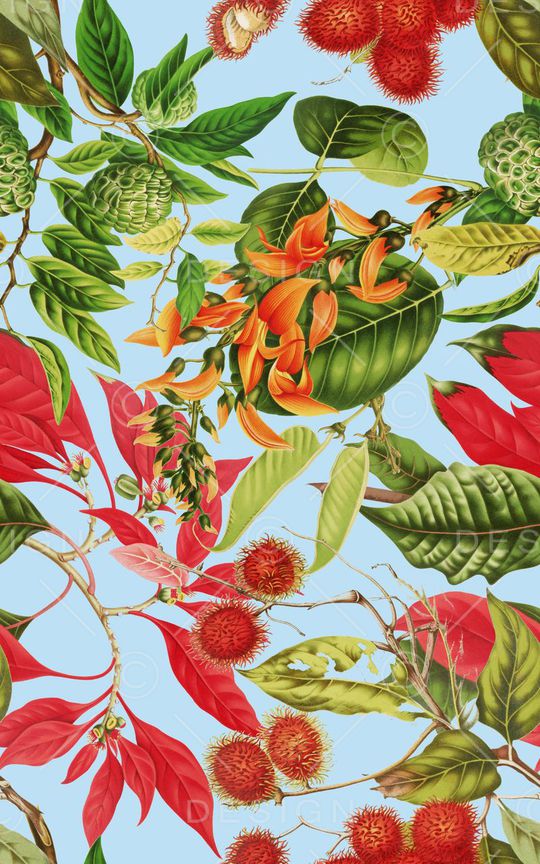 植物印花华亿平台图片