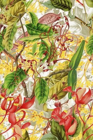 热带印花华亿平台图片