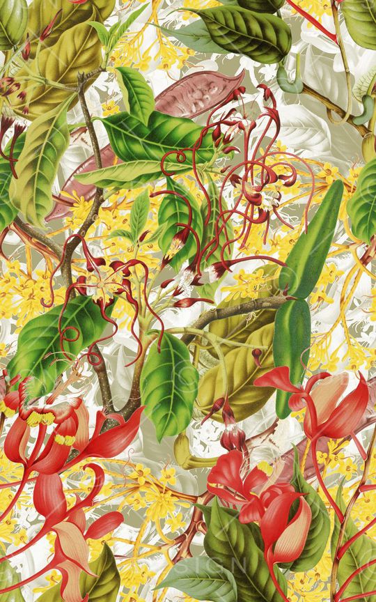 热带印花华亿平台图片