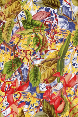 热带印花华亿平台图片