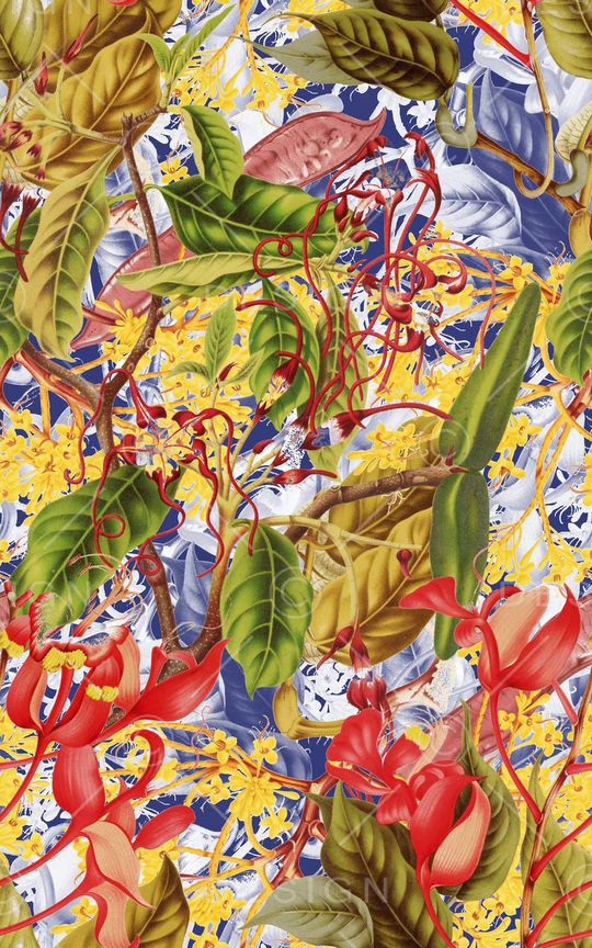 热带印花华亿平台图片