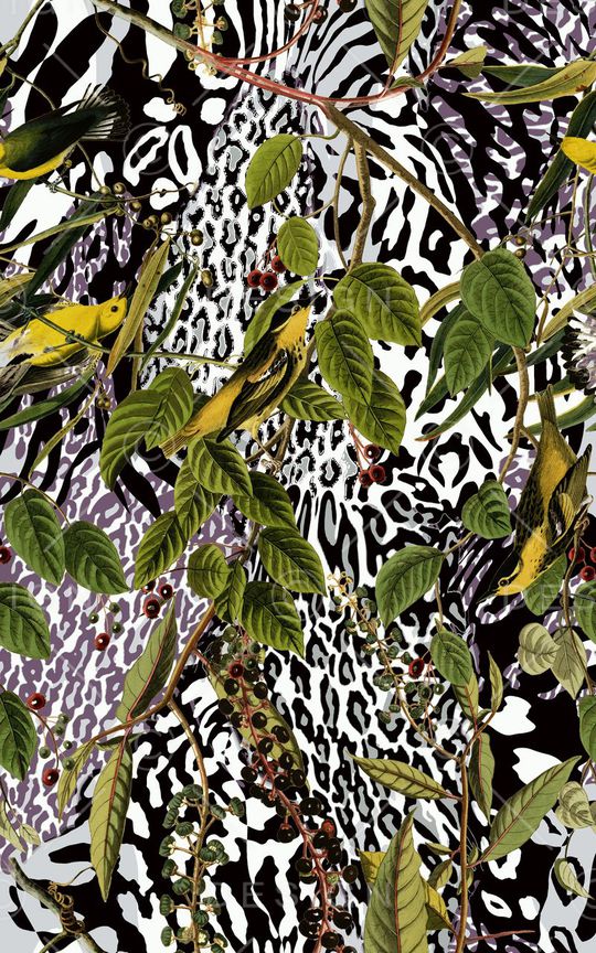 植物印花华亿平台图片