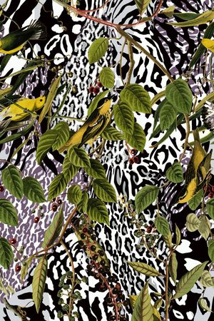 植物印花华亿平台图片