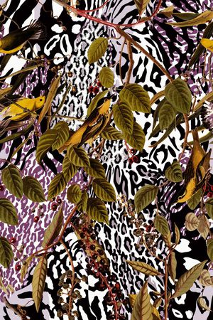 植物印花华亿平台图片