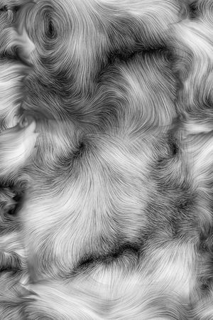 抽象羽毛组合印花华亿平台图片