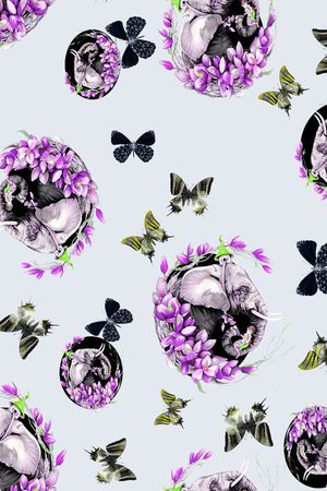 。蝴蝶印花华亿平台图片