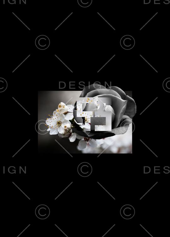 个性印花华亿平台图片