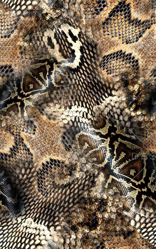 动物纹印花华亿平台图片