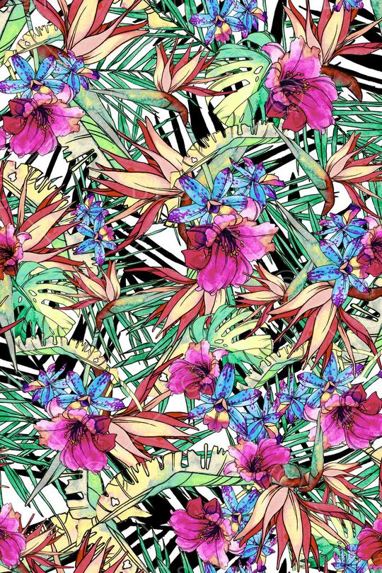 热带印花华亿平台图片