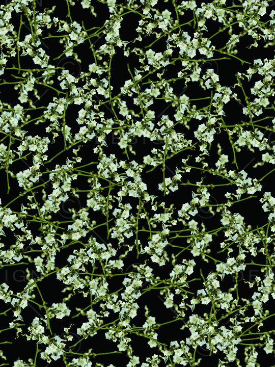 时尚男装印花华亿平台图片