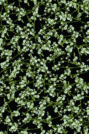 时尚男装印花华亿平台图片