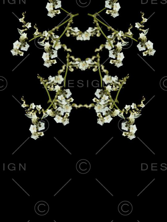 时尚男装印花华亿平台图片