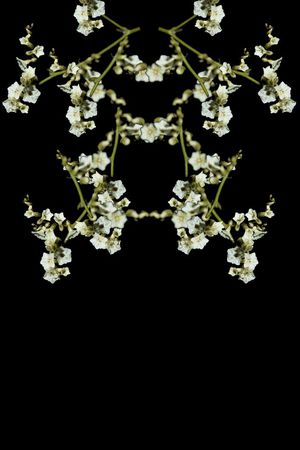 时尚男装印花华亿平台图片