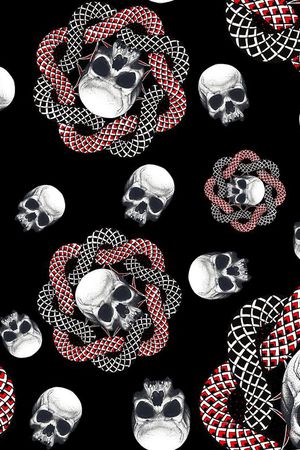 男装骷颅头蛇印花华亿平台图片