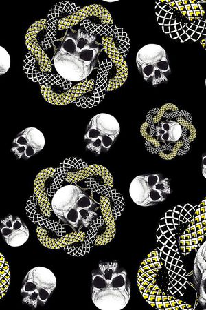 男装骷颅头蛇印花华亿平台图片