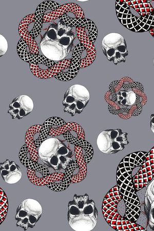 男装骷颅头蛇印花华亿平台图片