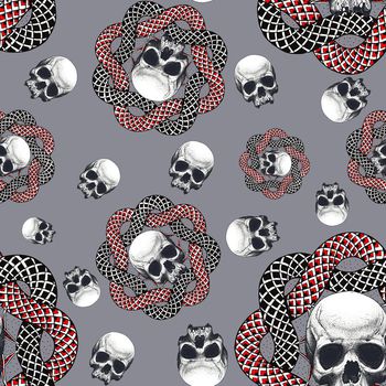 668213-骷颅头蛇灰
