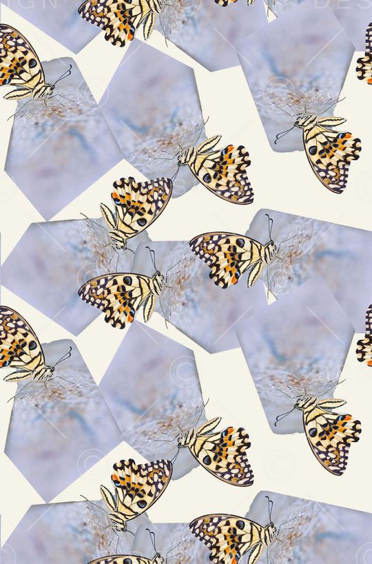 翅膀印花华亿平台图片