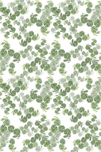 668261-10079ztkf-22940-1