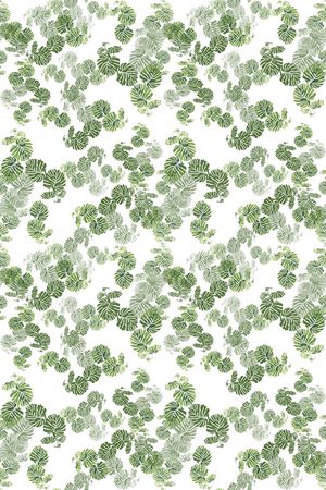 热带海滨度假印花华亿平台图片