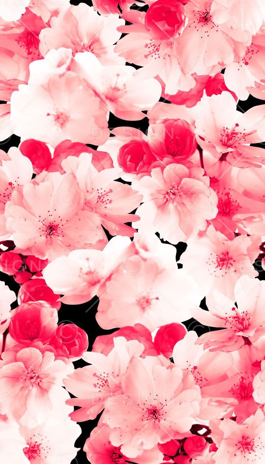 花卉、桃花、单色、模糊效果印花华亿平台图片