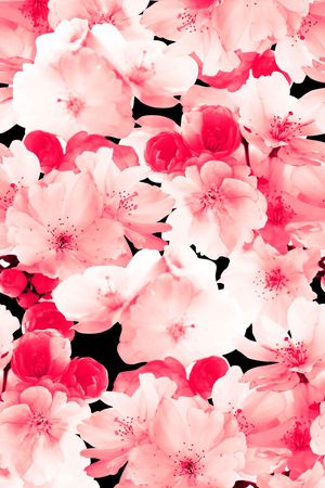 花卉、桃花、单色、模糊效果印花华亿平台图片