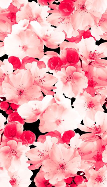 花卉、桃花、单色、模糊效果印花华亿平台图片