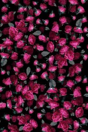 红玫瑰印花华亿平台图片