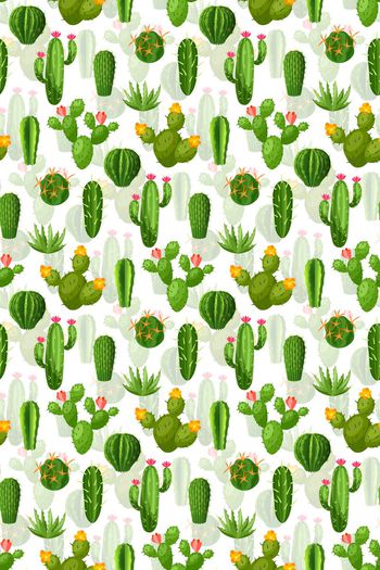 668272-多肉植物 仙人掌 仙人球