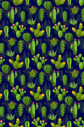 668273-多肉植物 仙人掌 仙人球--2