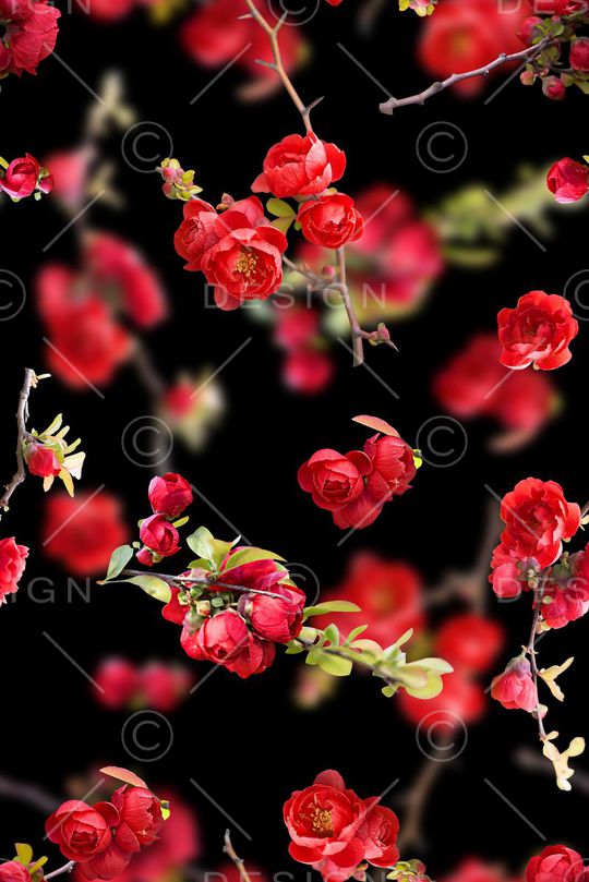 时尚抽象3D花卉数码印花印花华亿平台图片