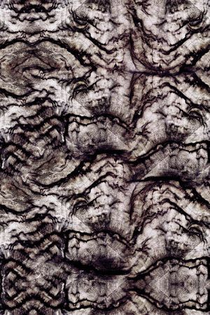 女装印花华亿平台图片