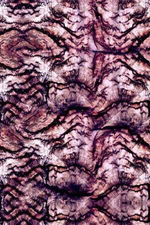 女装印花华亿平台图片