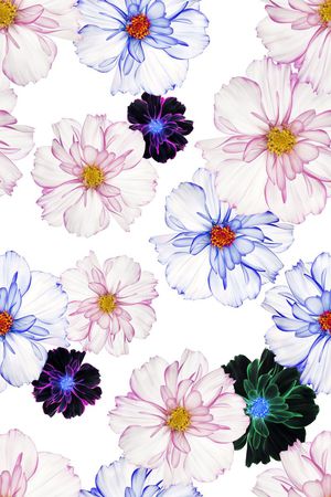 田园风印花华亿平台图片