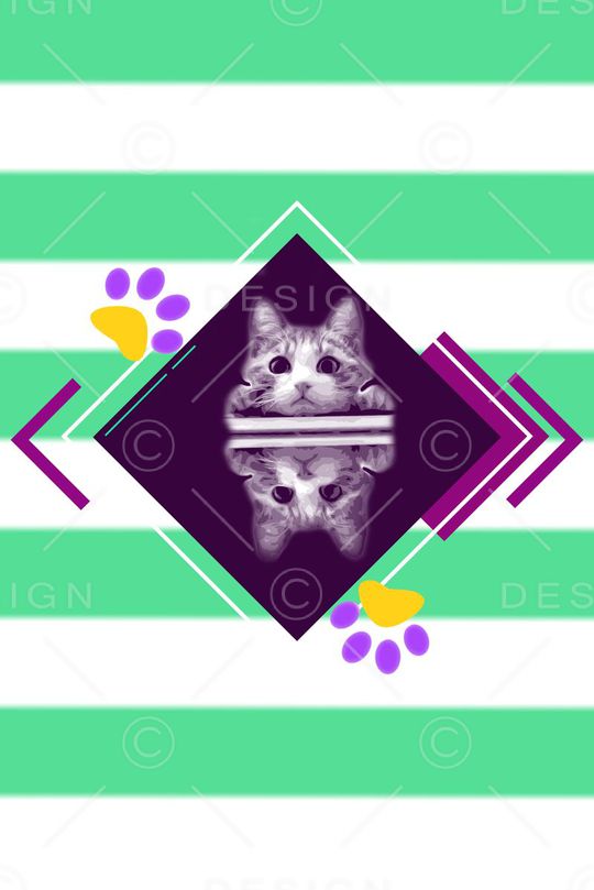 猫印花华亿平台图片